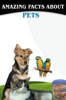 AMAZING FACTS ABOUT PETS poster