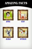 AMAZING FACTS ABOUT PETS স্ক্রিনশট 1