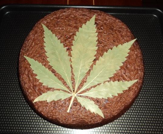 space cake