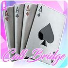 Call Bridge Offline Free ikona