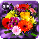 Flowers Gif Collection APK