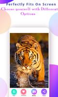 Tiger Wallpapers स्क्रीनशॉट 3