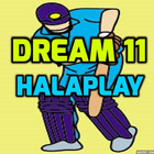 Free Fantasy Cricket Team Maker icône