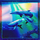 Sparkle Dolphins LWP ícone