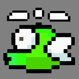 Flying Bird: Crazy Cry