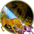 Real Cheetah Simulator 2016