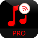 TuneCast DNLA Music Player Pro APK