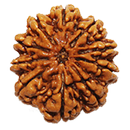 Mala Jap - rudraksha APK
