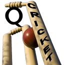 Q - CRICKET in KBC Style APK