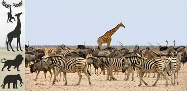 Wilde Tier Spiele kostenlos: Zoo Puzzle deutsch