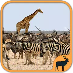 Wilde Tier Spiele kostenlos: Zoo Puzzle deutsch XAPK Herunterladen