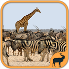 Animals Puzzle Zoo free - games for all ages أيقونة