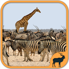 Animals Puzzle Zoo free - games for all ages icon