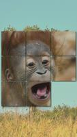 Puzzle Animaux Zoo gratuit capture d'écran 1