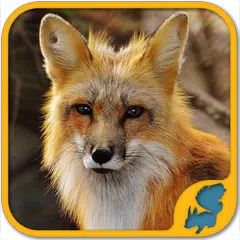 Wilde Tier Puzzle kostenlos: Nationalparks USA XAPK Herunterladen