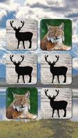 Wild Animals Puzzle Games: WildLife America plakat