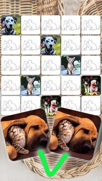 Jeux De Chien Et Chat Gratuit Pour Android Telechargez L Apk