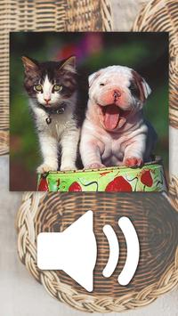Jeux De Chien Et Chat Gratuit Pour Android Telechargez L Apk