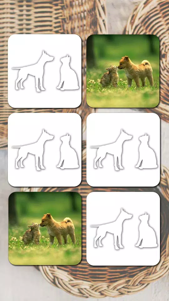 Descarga de APK de Juegos de Perros y Gatos para Android