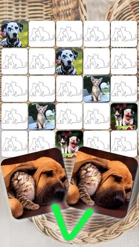 Telecharger Jeux De Chien Et Chat Gratuit 5 05 011 Android Apk