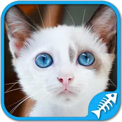 Cat Games Free: Cat puzzles games for all ages