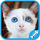 Cat Games Free: Cat puzzles games for all ages icône