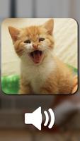 Katzen Puzzle Spiele: süße Katzenspiele Screenshot 1