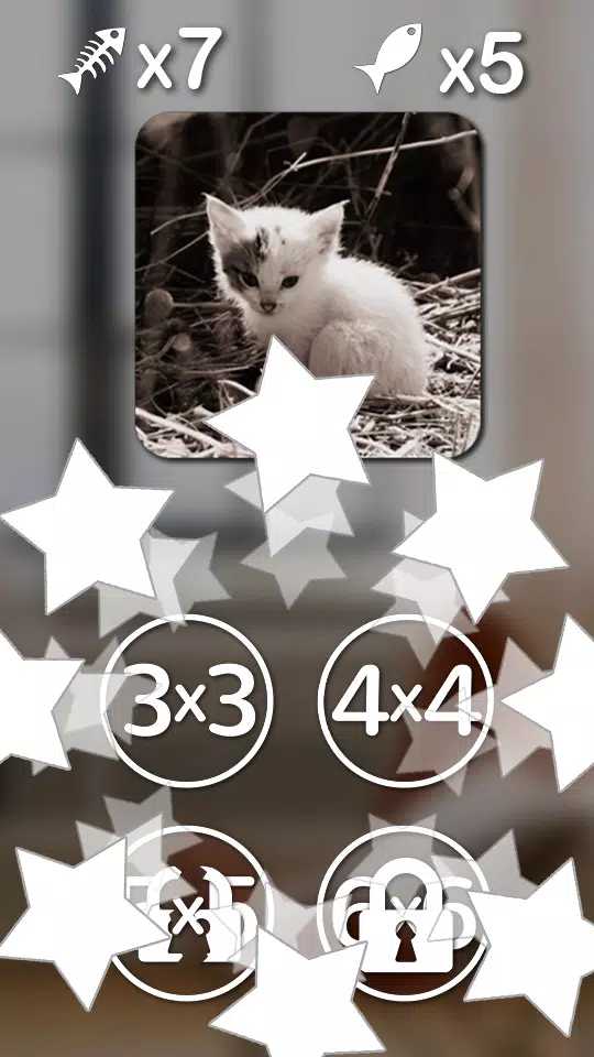 Download do APK de Jogos de gato gatinho para crianças grátis 🐱 meow para  Android