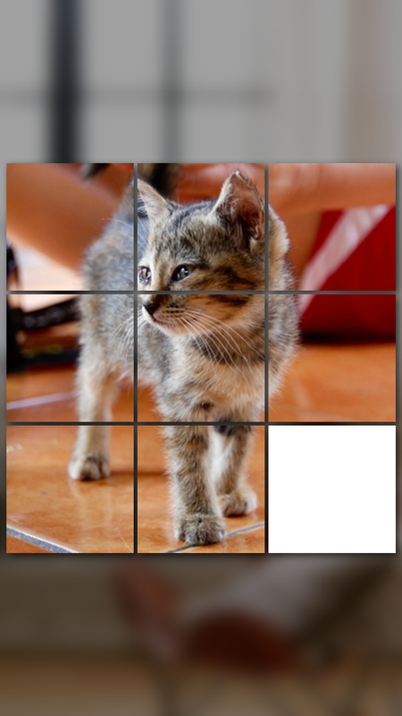 Kostenlose Katzenspiele Kostenlose Katzenspiele