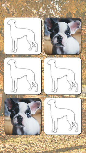 無料で 犬のゲーム いぬあつめ 神経衰弱 パズル アプリの最新版 Apk5 55 001をダウンロードー Android用 犬のゲーム いぬあつめ 神経衰弱 パズル Apk の最新バージョンをダウンロード Apkfab Com Jp
