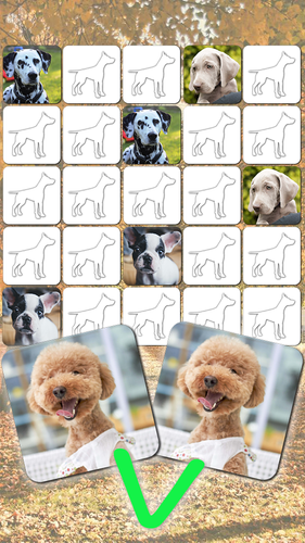無料で 犬のゲーム いぬあつめ 神経衰弱 パズル アプリの最新版 Apk5 55 001をダウンロードー Android用 犬のゲーム いぬあつめ 神経衰弱 パズル Apk の最新バージョンをダウンロード Apkfab Com Jp