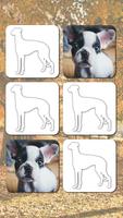 Cute Dog Games free plakat