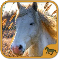 美しい馬は子供と大人のためのパズル アプリダウンロード