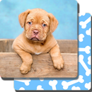 Puppy Games Kids - Cool Puppies for Cool Kids aplikacja