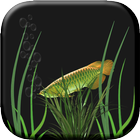 Green Fish Live Wallpaper icône