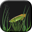 Green Fish Live Wallpaper APK