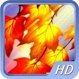 Leaves Live Wallpapers icon