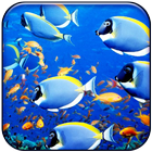 Fishes Live Wallpaper 2017 icône