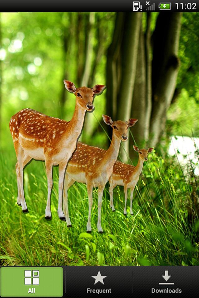 Forest HD Live Wallpaper APK for Android Download Forest HD Live Wallpaper APK for Android Download