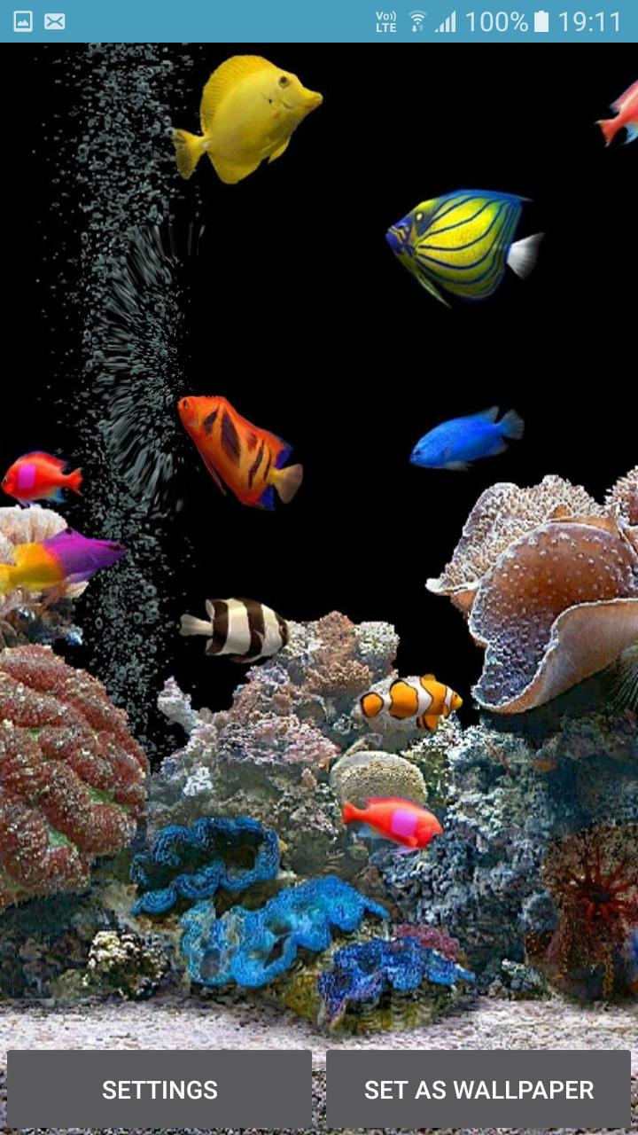 Живые аквариумы на телефон. Живой аквариум. Рыбки для аквариума. Аквариум рыбки на экран. Аквариум живые рыбки.