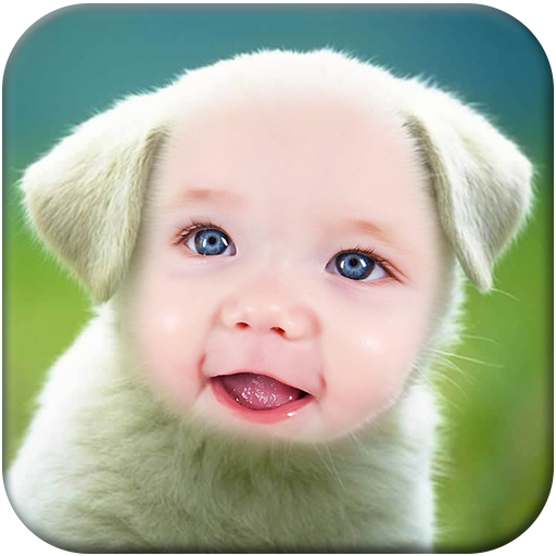 Dog Funny Photo Frame
