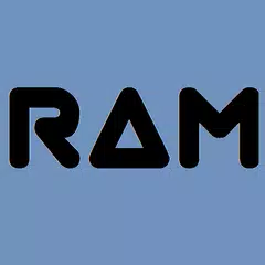 My RAM - RAM Information