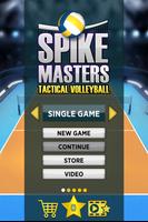 Spike Masters Volleyball تصوير الشاشة 1