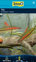 Tetra MyAquarium الملصق