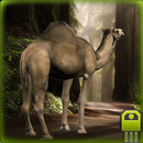 Duradera Camello Simulador APK