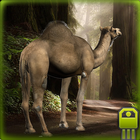 Durable Camel Simulator ไอคอน