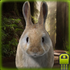 Fast Rabbit Simulator APK