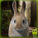 Fast Rabbit Simulator icône