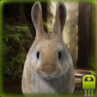 Fast Rabbit Simulator biểu tượng