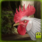 Angry Rooster Simulator icône